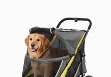 Extra Large Dog Stroller Review – Is It Worth It for Big Dogs and Senior Pets?