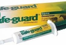 Safe-Guard Equine Paste 10% Fenbendazole Review – Is It Worth Using for Your Horse?