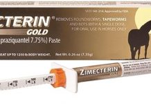 Merial Zimecterin Gold Dewormer Paste for Horses Review: Worth It or Not for Your Horse?