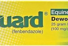 Safeguard Horse Dewormer 25 Gm Review: Is It Worth It for Your Horse’s Health?