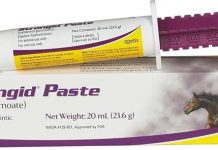Strongid Paste Horse Dewormer Review: Safe, Effective, and Worth It for Mares & Foals