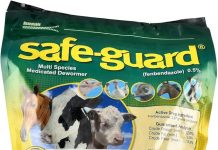 Animal Health International Multi-Species Dewormer Review: Is It Worth the Investment?