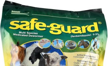 Animal Health International Multi-Species Dewormer Review: Is It Worth the Investment?