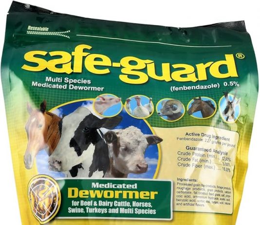 Animal Health International Multi-Species Dewormer Review: Is It Worth the Investment?