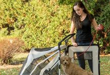 Pet Gear NO-Zip Pet Stroller Review – Is It Worth It for Single or Multiple Pets?