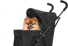 Wedyvko Travel Portable Dog Stroller Review: Is It Worth the Investment for Small Pets?