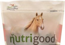 NutriGood Senior Snax Horse Treats Review – Worth It for Joints, Hooves & Coat Health?