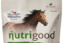 Manna Pro NutriGood Apple Snax Review: Low-Sugar Treats for Metabolic Horses Evaluated