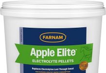 Farnam Apple Elite Electrolyte Supplement Review: Hydration, Value, and Suitability for Horses