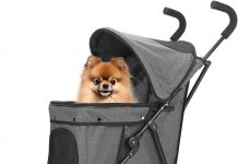 Wedyvko Travel Dog Stroller Review: Lightweight, Safe & Worth the Investment?