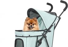 Umbrella Dog Stroller Review: Is It Worth the Hype for Small Pets and Frequent Travelers?